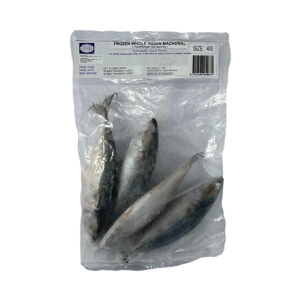 Unisea Frozen Whole Indian Mackeral 1kg